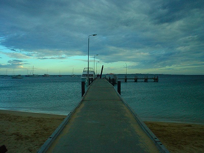 ドルフィンスイミング in Perth